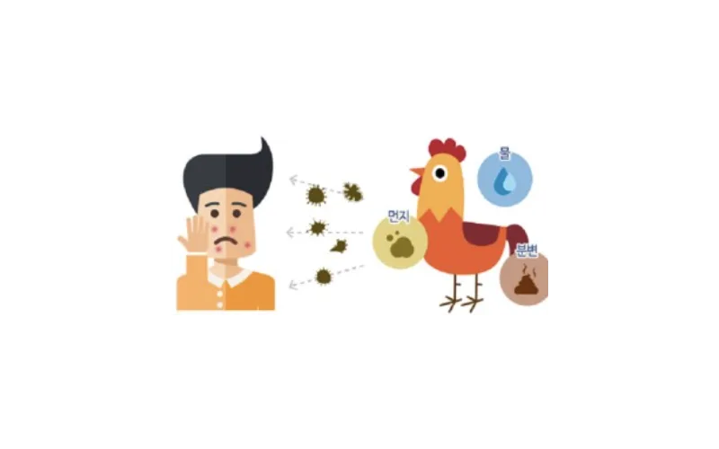 충북 진천 육계 농장, 고병원성 조류인플루엔자 확진