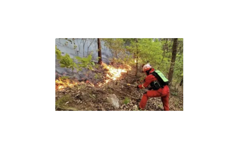 소방청, 전국 소방관서 봄철 산림화재 대비태세 강화