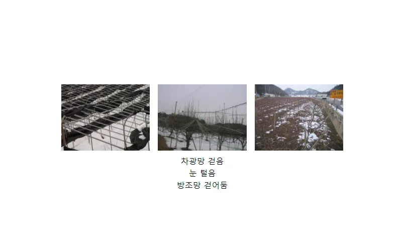 겨울철 농업재해, 시설물 미리 점검해 피해 예방