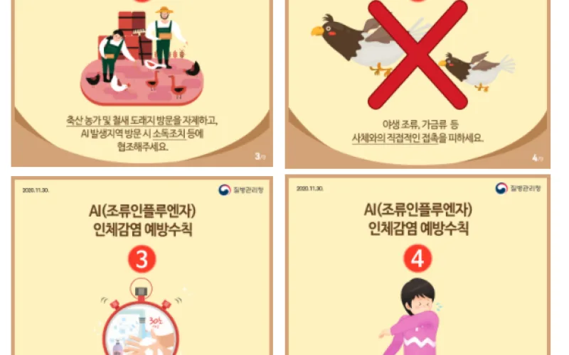 고병원성 AI(조류인플루엔자) 발생에 따른 신속한 인체감염 예방조치 시행 중