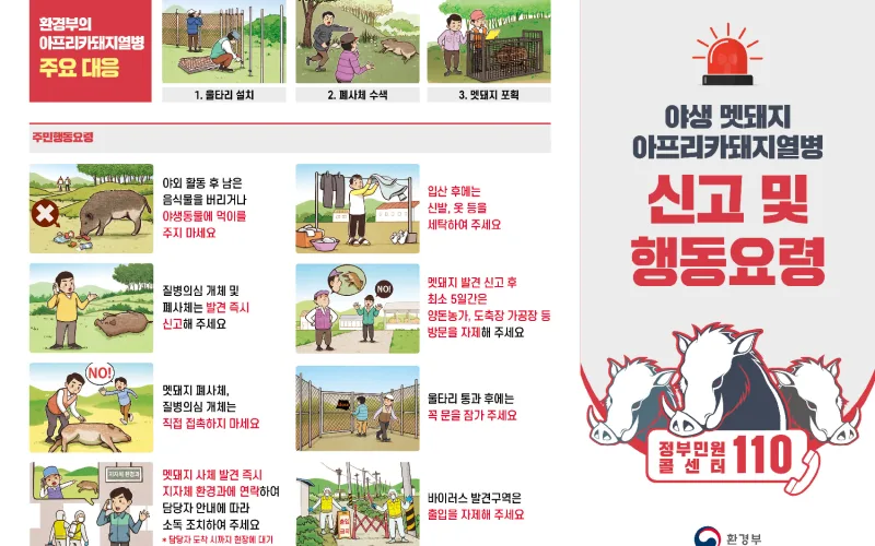강원도 영월군 멧돼지 폐사체에서 아프리카돼지열병 바이러스 검출