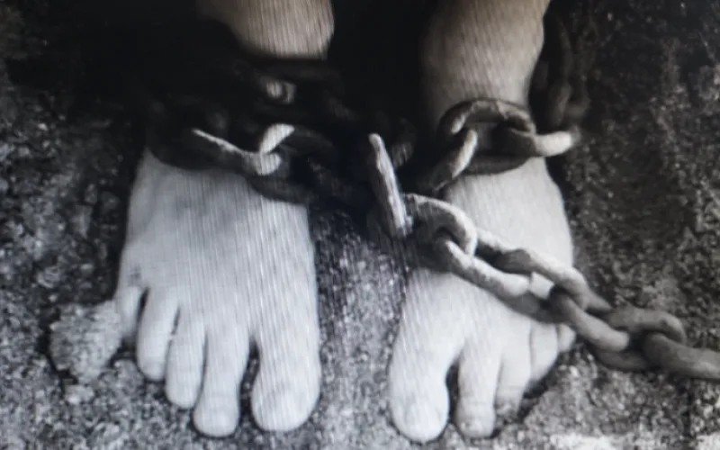 [칼럼]  누가 이 쇠사슬을 풀어 줄 것인가!!